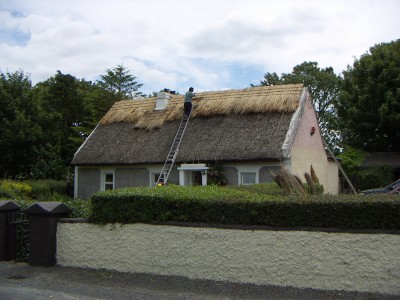 200606281308-PICT0311-ThatchedRoof.jpg