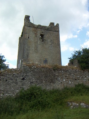 200607011526-PICT0371-ClononyCastle.jpg