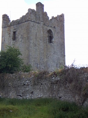 200607011528-PICT0372-ClononyCastle.jpg