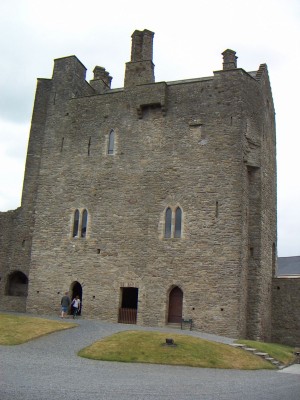 200607021459-PICT0445-RoscreaCastle.jpg