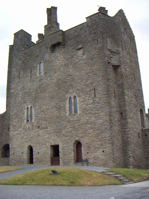 200607021500-PICT0446-RoscreaCastle.jpg