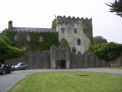 200607031102-PICT0461-CloghanCastle.jpg