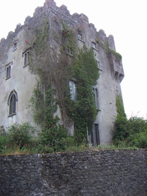 200607031126-PICT0463-CloghanCastle.jpg