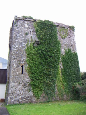 200607041120-PICT0552-OgradyCastle.jpg