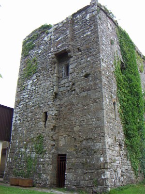 200607041120-PICT0553-OgradyCastle.jpg