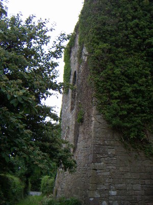 200607041122-PICT0555-OgradyCastle.jpg