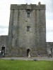 200606281148-PICT0301-DunguaireCastle.jpg