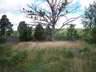 200907201321-100_0115_StenbySkansHillfort-Top.jpg