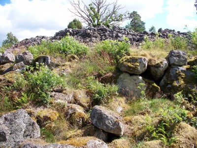 200907201324-100_0116_StenbySkansHillfort-Lookingup.jpg