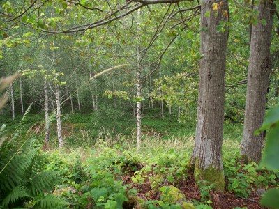 200907211644-100_0134_HalvardsborgenHillFortTop.jpg