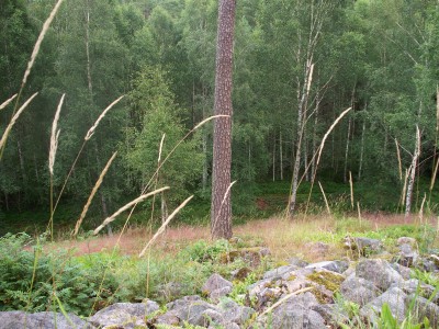 200907211646-100_0135_HalvardsborgenHillFortTop2.jpg