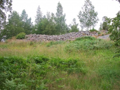 200907211707-100_0137_ThomasatHalvardsborgenHillFort.jpg