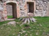 200908011019-100_0453_KronobergCastleStump.jpg