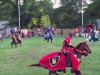 200908031952-100_0645_VisbyHorses.jpg