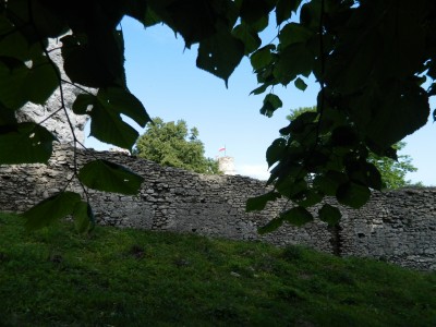 201205230853-Ogrodzieniec_Castle-DSCN0293.jpg