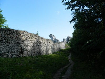 201205230853-Ogrodzieniec_Castle-DSCN0294.jpg