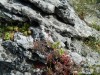 201205230852-Eagles_Nest_Trail-DSCN0291.jpg