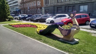 201507041308-00419-IMG-Brasov.jpg