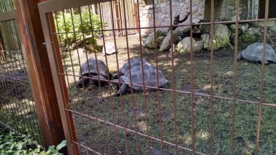 201507191036-00762-IMG-BudapestZoo.jpg