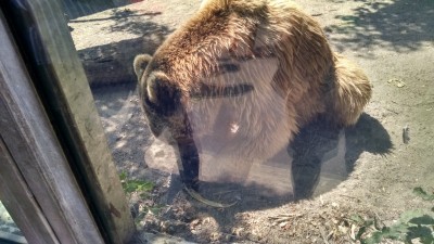 201507191041-00766-IMG-BudapestZoo.jpg