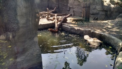 201507191048-00775-IMG-BudapestZoo.jpg