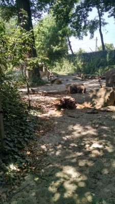 201507191054-00782-IMG-BudapestZoo.jpg