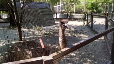 201507191103-00787-IMG-BudapestZoo.jpg