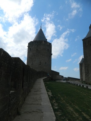 201508301247-00051-DSCN3132-Carcassonne.jpg