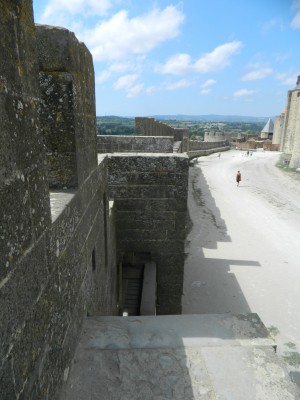 201508301249-00057-DSCN3138-Carcassonne.jpg