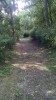 Filename=201506251641-00140-IMG-VelikoTarnovo.jpg
Filesize=5385KiB
Dimensions=1152x2048
Date added=Oct 19, 2015 201506251641-00140-IMG-VelikoTarnovo.jpg