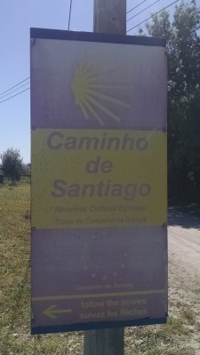 201606011146-00688-IMG_Camino_Portugues.jpg