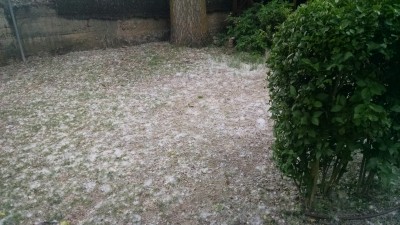 201606092205-00818-IMG_Let_is_snow.jpg