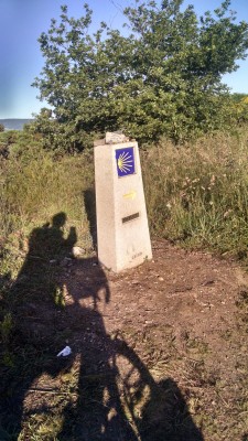 201606200836-01041-HDR_Shadows_Camino.jpg