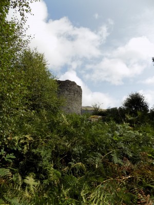 201708241220-00335-DSCN5238_Dolbadarn_Castle.jpg