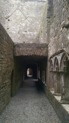 201709021521-01006-IMG_Bective_Abbey.jpg