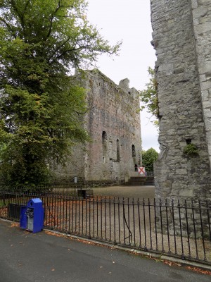 201709031424-00452-DSCN5355_Maynooth_Castle.jpg