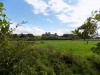 201708221125-00215-DSCN5118_Rhuddlan_Castle.jpg