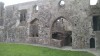 201709021524-01009-IMG_Bective_Abbey.jpg