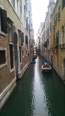 201806121029-01579-IMG_Venice.jpg