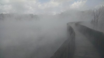 201810261019-00211-IMG_Rotorua.jpg