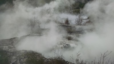 201810271049-00228-IMG_Rotorua.jpg