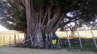 201811040850-00313-IMG_Rimutaka_Trail__Bicycle.jpg