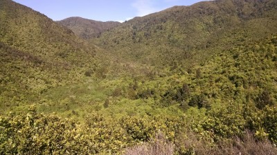 201811041005-00314-IMG_Rimutaka_Trail.jpg