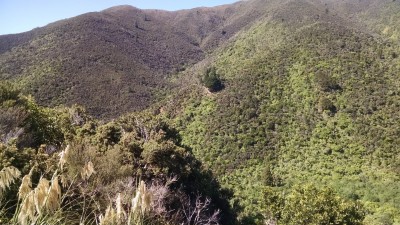 201811041005-00315-IMG_Rimutaka_Trail.jpg