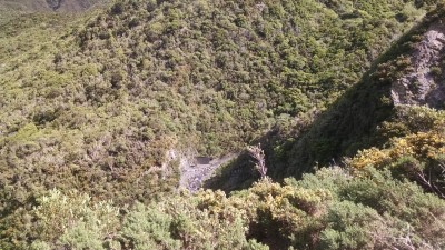 201811041032-00317-IMG_Rimutaka_Trail.jpg