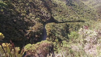 201811041039-00320-IMG_Rimutaka_Trail.jpg