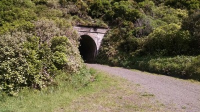 201811041040-00322-IMG_Rimutaka_Trail.jpg