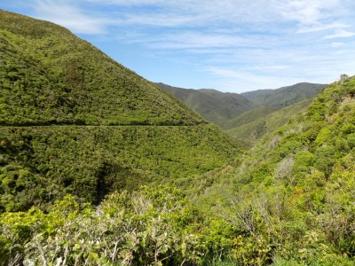 201811041041-00081-DSCN6663_Rimutaka_Trail.jpg