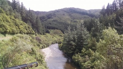 201811041133-00325-IMG_Rimutaka_Trail.jpg