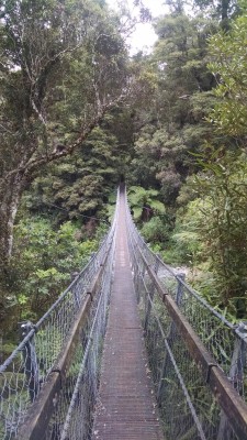 201811041228-00328-IMG_Hutt_River_Bridge.jpg